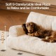 MEWOOFUN Large Cat Bed, Small Dog Sofa, Fluffy and Washable, Cat Sofa, Dog Bed for Cats, Soft Cat Bed, Cat Couch with Non-Slip Underside, White, 66 x 48 cm MEWOOFUN Large Cat Bed, Small Dog Sofa, Fluffy and Washable, Cat Sofa, Dog Bed for Cats, Soft Cat Bed, Cat Couch with Non-Slip Underside, White, 66 x 48 cm