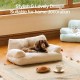 MEWOOFUN Large Cat Bed, Small Dog Sofa, Fluffy and Washable, Cat Sofa, Dog Bed for Cats, Soft Cat Bed, Cat Couch with Non-Slip Underside, White, 66 x 48 cm MEWOOFUN Large Cat Bed, Small Dog Sofa, Fluffy and Washable, Cat Sofa, Dog Bed for Cats, Soft Cat Bed, Cat Couch with Non-Slip Underside, White, 66 x 48 cm
