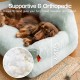 MEWOOFUN Large Cat Bed, Small Dog Sofa, Fluffy and Washable, Cat Sofa, Dog Bed for Cats, Soft Cat Bed, Cat Couch with Non-Slip Underside, White, 66 x 48 cm MEWOOFUN Large Cat Bed, Small Dog Sofa, Fluffy and Washable, Cat Sofa, Dog Bed for Cats, Soft Cat Bed, Cat Couch with Non-Slip Underside, White, 66 x 48 cm