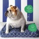 Molly Mutt Elephant Parade Dog Duvet, Med/LG