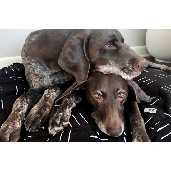 Molly Mutt Elephant Parade Dog Duvet, Med/LG Molly Mutt Elephant Parade Dog Duvet, Med/LG