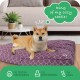 Molly Mutt Elephant Parade Dog Duvet, Med/LG