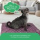 Molly Mutt Elephant Parade Dog Duvet, Med/LG