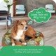 Molly Mutt Elephant Parade Dog Duvet, Med/LG