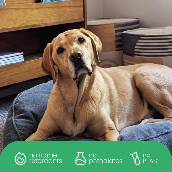 Molly Mutt Elephant Parade Dog Duvet, Med/LG Molly Mutt Elephant Parade Dog Duvet, Med/LG