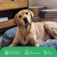 Molly Mutt Elephant Parade Dog Duvet, Med/LG