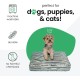 Molly Mutt Elephant Parade Dog Duvet, Med/LG