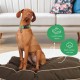 Molly Mutt Elephant Parade Dog Duvet, Med/LG