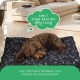 Molly Mutt Elephant Parade Dog Duvet, Med/LG