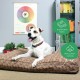 Molly Mutt Elephant Parade Dog Duvet, Med/LG