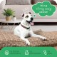 Molly Mutt Elephant Parade Dog Duvet, Med/LG