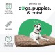 Molly Mutt Elephant Parade Dog Duvet, Med/LG