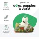 Molly Mutt Elephant Parade Dog Duvet, Med/LG