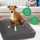 Molly Mutt Elephant Parade Dog Duvet, Med/LG