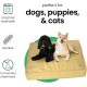 Molly Mutt Elephant Parade Dog Duvet, Med/LG