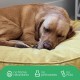 Molly Mutt Elephant Parade Dog Duvet, Med/LG