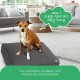 Molly Mutt Elephant Parade Dog Duvet, Med/LG