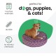 Molly Mutt Elephant Parade Dog Duvet, Med/LG