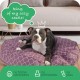 Molly Mutt Elephant Parade Dog Duvet, Med/LG