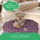 Molly Mutt Elephant Parade Dog Duvet, Med/LG