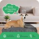 Molly Mutt Elephant Parade Dog Duvet, Med/LG