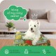 Molly Mutt Elephant Parade Dog Duvet, Med/LG