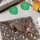Molly Mutt Elephant Parade Dog Duvet, Med/LG