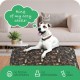 Molly Mutt Elephant Parade Dog Duvet, Med/LG