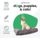 Molly Mutt Elephant Parade Dog Duvet, Med/LG