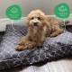 Molly Mutt Elephant Parade Dog Duvet, Med/LG