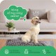 Molly Mutt Elephant Parade Dog Duvet, Med/LG