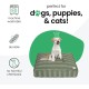 Molly Mutt Elephant Parade Dog Duvet, Med/LG