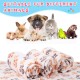 Pack of 4 Pet Dog Blankets, Paw Pattern, Puppy Fleece Blanket for Small, Medium, Pets, Dogs, Cats, Warm Sleeping Mat, Doggy, Kittens, Soft Bed Mat (White, Coffee, Pink, Purple, S) Pack of 4 Pet Dog Blankets, Paw Pattern, Puppy Fleece Blanket for Small, Medium, Pets, Dogs, Cats, Warm Sleeping Mat, Doggy, Kittens, Soft Bed Mat (White, Coffee, Pink, Purple, S)