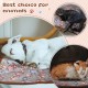Pack of 4 Pet Dog Blankets, Paw Pattern, Puppy Fleece Blanket for Small, Medium, Pets, Dogs, Cats, Warm Sleeping Mat, Doggy, Kittens, Soft Bed Mat (White, Coffee, Pink, Purple, S) Pack of 4 Pet Dog Blankets, Paw Pattern, Puppy Fleece Blanket for Small, Medium, Pets, Dogs, Cats, Warm Sleeping Mat, Doggy, Kittens, Soft Bed Mat (White, Coffee, Pink, Purple, S)