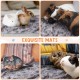 Pack of 4 Pet Dog Blankets, Paw Pattern, Puppy Fleece Blanket for Small, Medium, Pets, Dogs, Cats, Warm Sleeping Mat, Doggy, Kittens, Soft Bed Mat (White, Coffee, Pink, Purple, S)
