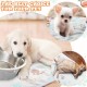 Pack of 4 Pet Dog Blankets, Paw Pattern, Puppy Fleece Blanket for Small, Medium, Pets, Dogs, Cats, Warm Sleeping Mat, Doggy, Kittens, Soft Bed Mat (White, Coffee, Pink, Purple, S)