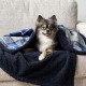 PetAmi Waterproof Dog Blanket for Bed, XL Dog Pet Blanket Couch Cover Protection, Sherpa Fleece Leak-Proof Duvet for Crate Kennel Sofa Furniture Protector, Reversible Soft Plush 80 x 60 cm, Grey PetAmi Waterproof Dog Blanket for Bed, XL Dog Pet Blanket Couch Cover Protection, Sherpa Fleece Leak-Proof Duvet for Crate Kennel Sofa Furniture Protector, Reversible Soft Plush 80 x 60 cm, Grey