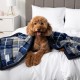 PetAmi Waterproof Dog Blanket for Bed, XL Dog Pet Blanket Couch Cover Protection, Sherpa Fleece Leak-Proof Duvet for Crate Kennel Sofa Furniture Protector, Reversible Soft Plush 80 x 60 cm, Grey PetAmi Waterproof Dog Blanket for Bed, XL Dog Pet Blanket Couch Cover Protection, Sherpa Fleece Leak-Proof Duvet for Crate Kennel Sofa Furniture Protector, Reversible Soft Plush 80 x 60 cm, Grey