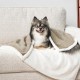 PetAmi Waterproof Dog Blanket for Bed, XL Dog Pet Blanket Couch Cover Protection, Sherpa Fleece Leak-Proof Duvet for Crate Kennel Sofa Furniture Protector, Reversible Soft Plush 80 x 60 cm, Grey PetAmi Waterproof Dog Blanket for Bed, XL Dog Pet Blanket Couch Cover Protection, Sherpa Fleece Leak-Proof Duvet for Crate Kennel Sofa Furniture Protector, Reversible Soft Plush 80 x 60 cm, Grey