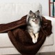PetAmi Waterproof Dog Blanket for Bed, XL Dog Pet Blanket Couch Cover Protection, Sherpa Fleece Leak-Proof Duvet for Crate Kennel Sofa Furniture Protector, Reversible Soft Plush 80 x 60 cm, Grey PetAmi Waterproof Dog Blanket for Bed, XL Dog Pet Blanket Couch Cover Protection, Sherpa Fleece Leak-Proof Duvet for Crate Kennel Sofa Furniture Protector, Reversible Soft Plush 80 x 60 cm, Grey