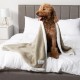 PetAmi Waterproof Dog Blanket for Bed, XL Dog Pet Blanket Couch Cover Protection, Sherpa Fleece Leak-Proof Duvet for Crate Kennel Sofa Furniture Protector, Reversible Soft Plush 80 x 60 cm, Grey PetAmi Waterproof Dog Blanket for Bed, XL Dog Pet Blanket Couch Cover Protection, Sherpa Fleece Leak-Proof Duvet for Crate Kennel Sofa Furniture Protector, Reversible Soft Plush 80 x 60 cm, Grey