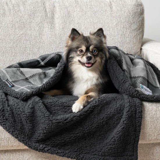 PetAmi Waterproof Dog Blanket for Bed, XL Dog Pet Blanket Couch Cover Protection, Sherpa Fleece Leak-Proof Duvet for Crate Kennel Sofa Furniture Protector, Reversible Soft Plush 80 x 60 cm, Grey PetAmi Waterproof Dog Blanket for Bed, XL Dog Pet Blanket Couch Cover Protection, Sherpa Fleece Leak-Proof Duvet for Crate Kennel Sofa Furniture Protector, Reversible Soft Plush 80 x 60 cm, Grey