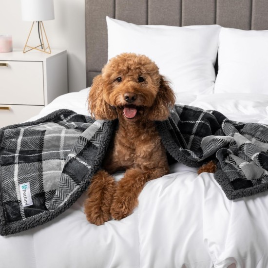 PetAmi Waterproof Dog Blanket for Bed, XL Dog Pet Blanket Couch Cover Protection, Sherpa Fleece Leak-Proof Duvet for Crate Kennel Sofa Furniture Protector, Reversible Soft Plush 80 x 60 cm, Grey PetAmi Waterproof Dog Blanket for Bed, XL Dog Pet Blanket Couch Cover Protection, Sherpa Fleece Leak-Proof Duvet for Crate Kennel Sofa Furniture Protector, Reversible Soft Plush 80 x 60 cm, Grey