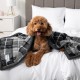 PetAmi Waterproof Dog Blanket for Bed, XL Dog Pet Blanket Couch Cover Protection, Sherpa Fleece Leak-Proof Duvet for Crate Kennel Sofa Furniture Protector, Reversible Soft Plush 80 x 60 cm, Grey PetAmi Waterproof Dog Blanket for Bed, XL Dog Pet Blanket Couch Cover Protection, Sherpa Fleece Leak-Proof Duvet for Crate Kennel Sofa Furniture Protector, Reversible Soft Plush 80 x 60 cm, Grey