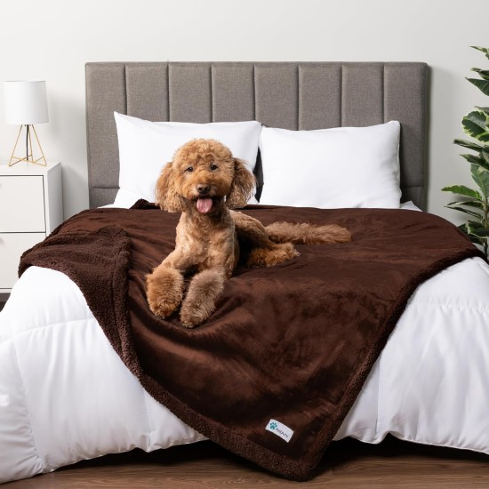 PetAmi Waterproof Dog Blanket for Bed, XL Dog Pet Blanket Couch Cover Protection, Sherpa Fleece Leak-Proof Duvet for Crate Kennel Sofa Furniture Protector, Reversible Soft Plush 80 x 60 cm, Grey PetAmi Waterproof Dog Blanket for Bed, XL Dog Pet Blanket Couch Cover Protection, Sherpa Fleece Leak-Proof Duvet for Crate Kennel Sofa Furniture Protector, Reversible Soft Plush 80 x 60 cm, Grey