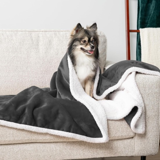 PetAmi Waterproof Dog Blanket for Bed, XL Dog Pet Blanket Couch Cover Protection, Sherpa Fleece Leak-Proof Duvet for Crate Kennel Sofa Furniture Protector, Reversible Soft Plush 80 x 60 cm, Grey PetAmi Waterproof Dog Blanket for Bed, XL Dog Pet Blanket Couch Cover Protection, Sherpa Fleece Leak-Proof Duvet for Crate Kennel Sofa Furniture Protector, Reversible Soft Plush 80 x 60 cm, Grey