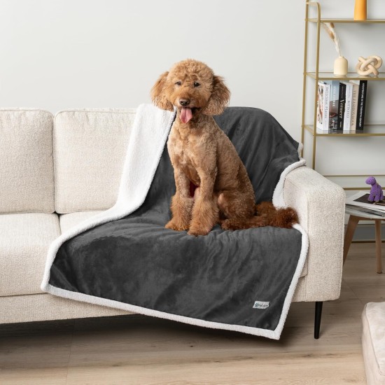 PetAmi Waterproof Dog Blanket for Bed, XL Dog Pet Blanket Couch Cover Protection, Sherpa Fleece Leak-Proof Duvet for Crate Kennel Sofa Furniture Protector, Reversible Soft Plush 80 x 60 cm, Grey PetAmi Waterproof Dog Blanket for Bed, XL Dog Pet Blanket Couch Cover Protection, Sherpa Fleece Leak-Proof Duvet for Crate Kennel Sofa Furniture Protector, Reversible Soft Plush 80 x 60 cm, Grey