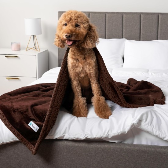 PetAmi Waterproof Dog Blanket for Bed, XL Dog Pet Blanket Couch Cover Protection, Sherpa Fleece Leak-Proof Duvet for Crate Kennel Sofa Furniture Protector, Reversible Soft Plush 80 x 60 cm, Grey PetAmi Waterproof Dog Blanket for Bed, XL Dog Pet Blanket Couch Cover Protection, Sherpa Fleece Leak-Proof Duvet for Crate Kennel Sofa Furniture Protector, Reversible Soft Plush 80 x 60 cm, Grey