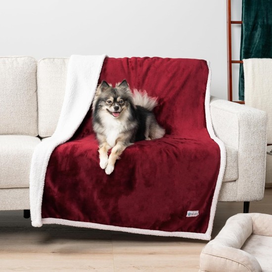 PetAmi Waterproof Dog Blanket for Bed, XL Dog Pet Blanket Couch Cover Protection, Sherpa Fleece Leak-Proof Duvet for Crate Kennel Sofa Furniture Protector, Reversible Soft Plush 80 x 60 cm, Grey PetAmi Waterproof Dog Blanket for Bed, XL Dog Pet Blanket Couch Cover Protection, Sherpa Fleece Leak-Proof Duvet for Crate Kennel Sofa Furniture Protector, Reversible Soft Plush 80 x 60 cm, Grey