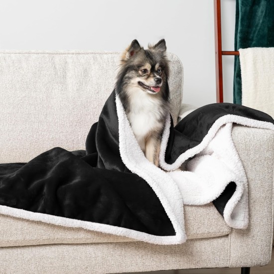 PetAmi Waterproof Dog Blanket for Bed, XL Dog Pet Blanket Couch Cover Protection, Sherpa Fleece Leak-Proof Duvet for Crate Kennel Sofa Furniture Protector, Reversible Soft Plush 80 x 60 cm, Grey PetAmi Waterproof Dog Blanket for Bed, XL Dog Pet Blanket Couch Cover Protection, Sherpa Fleece Leak-Proof Duvet for Crate Kennel Sofa Furniture Protector, Reversible Soft Plush 80 x 60 cm, Grey